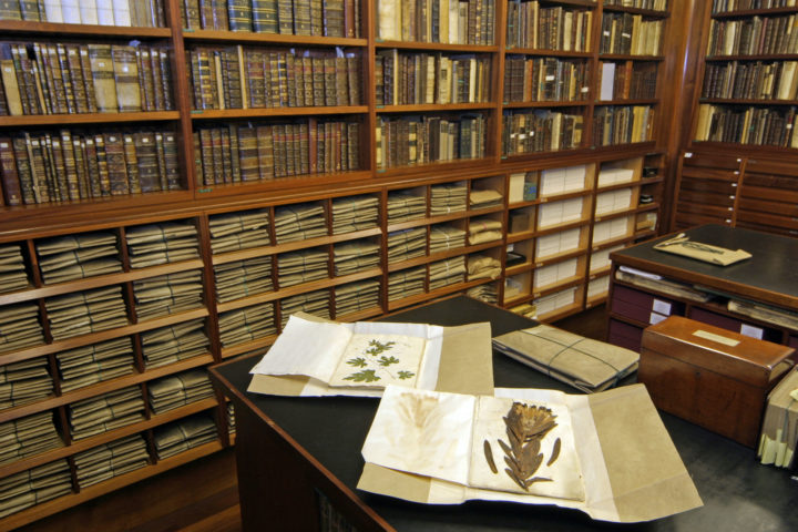 Collections Store