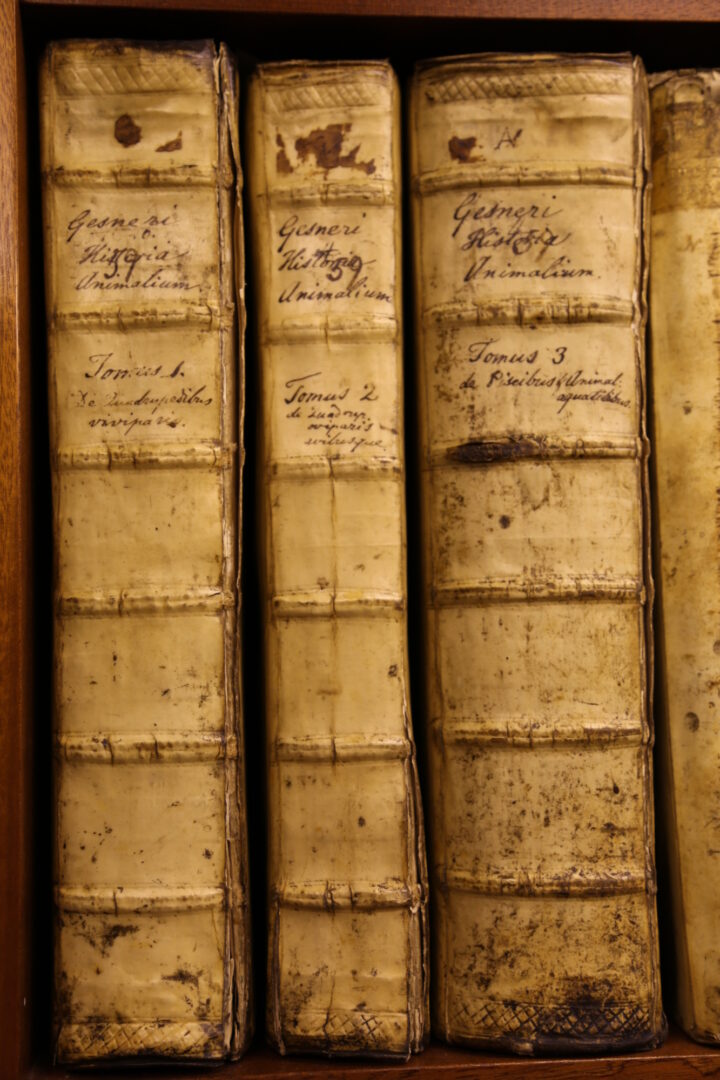 Spines of Gessner Historiae Animalium