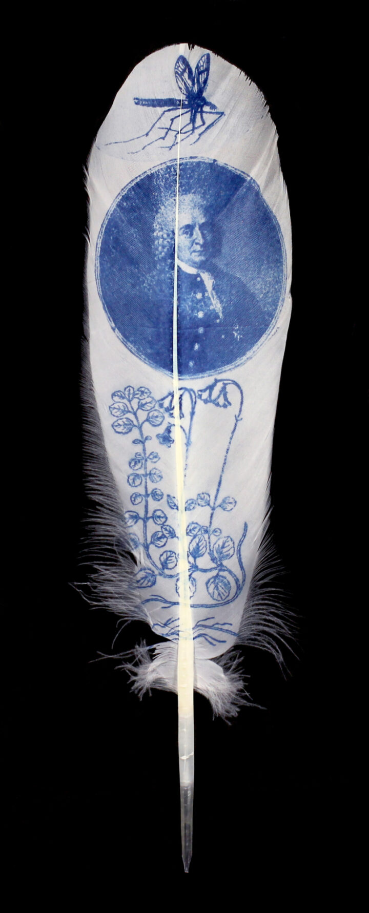 Hand-printed feather by Rebecca Jewell © Linnean Society