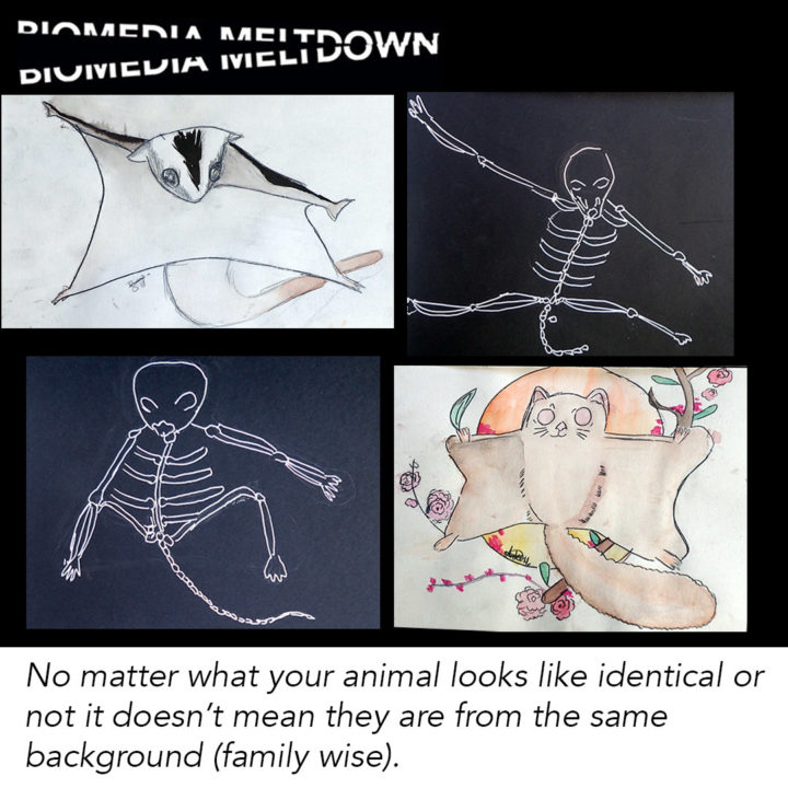 Arika & Priyasagi, CJMLC