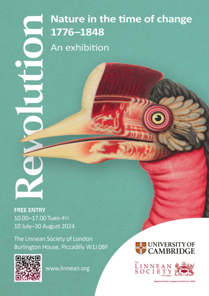 Poster of the Revolution: Nature in the time of change exhibition