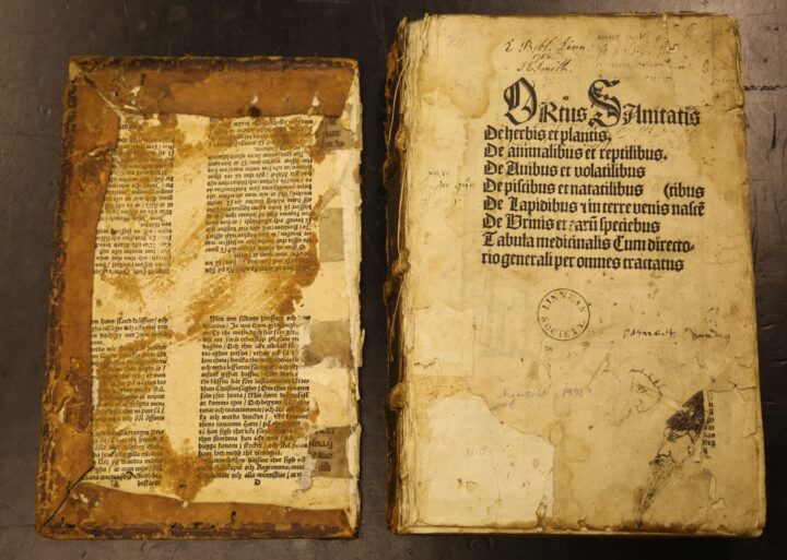 Ortus Sanitatis