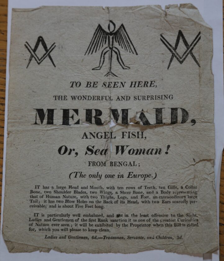 Mermaid advert