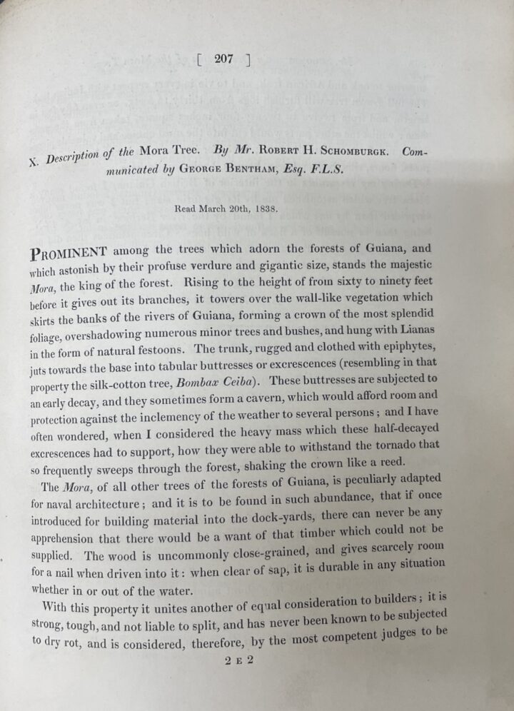 Schomburgk's paper in 1839 Transactions