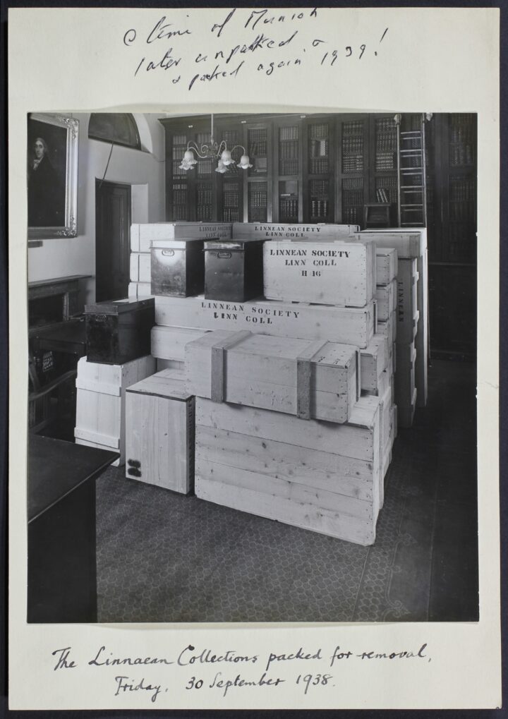 Collections packed for removal, 30 September 1938