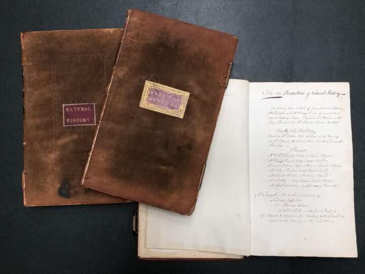 The minute books of the SPNH contain handwritten accounts of the society’s proceedings (SPNH/2/1, The Linnean Society of London)