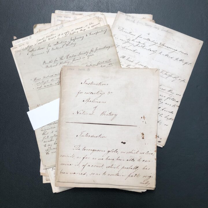 From quadrupeds, insects and fish to salts, stones and metallic ores these instructions were a handy guide for all collectors (SPNH/9, The Linnean Society of London)