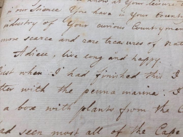 "Adieu, live long and happy": Carl Linnaeus' words to Peter Collinson in a translated letter (MS/323a/11-14)