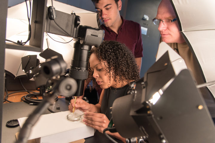 Lily Sargeant, Ben Chomitz and Professor Ingi Agnarsson