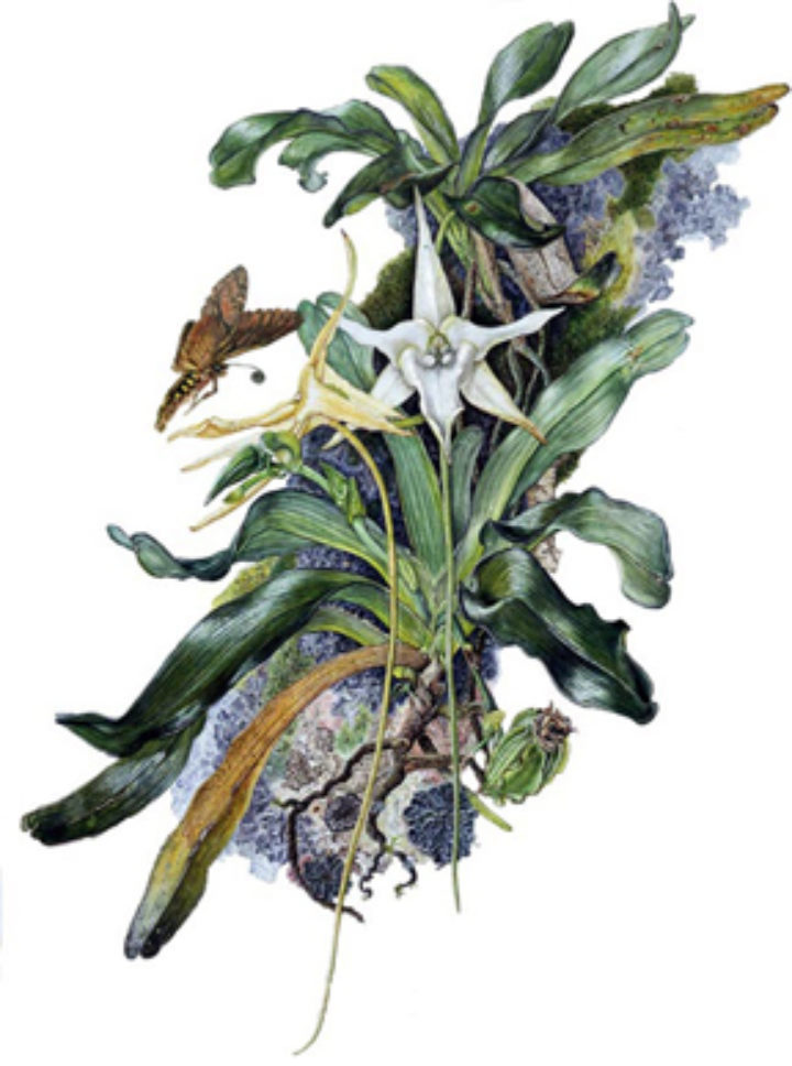 examples of Fran's work