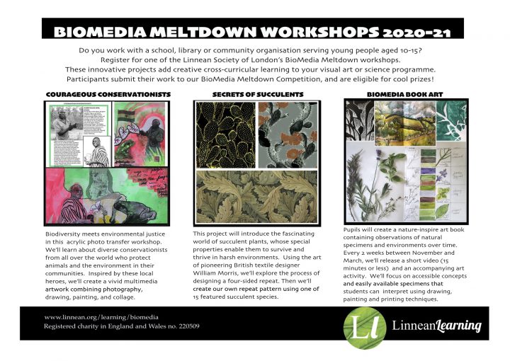 BioMedia 2020-2021 Project leaflet
