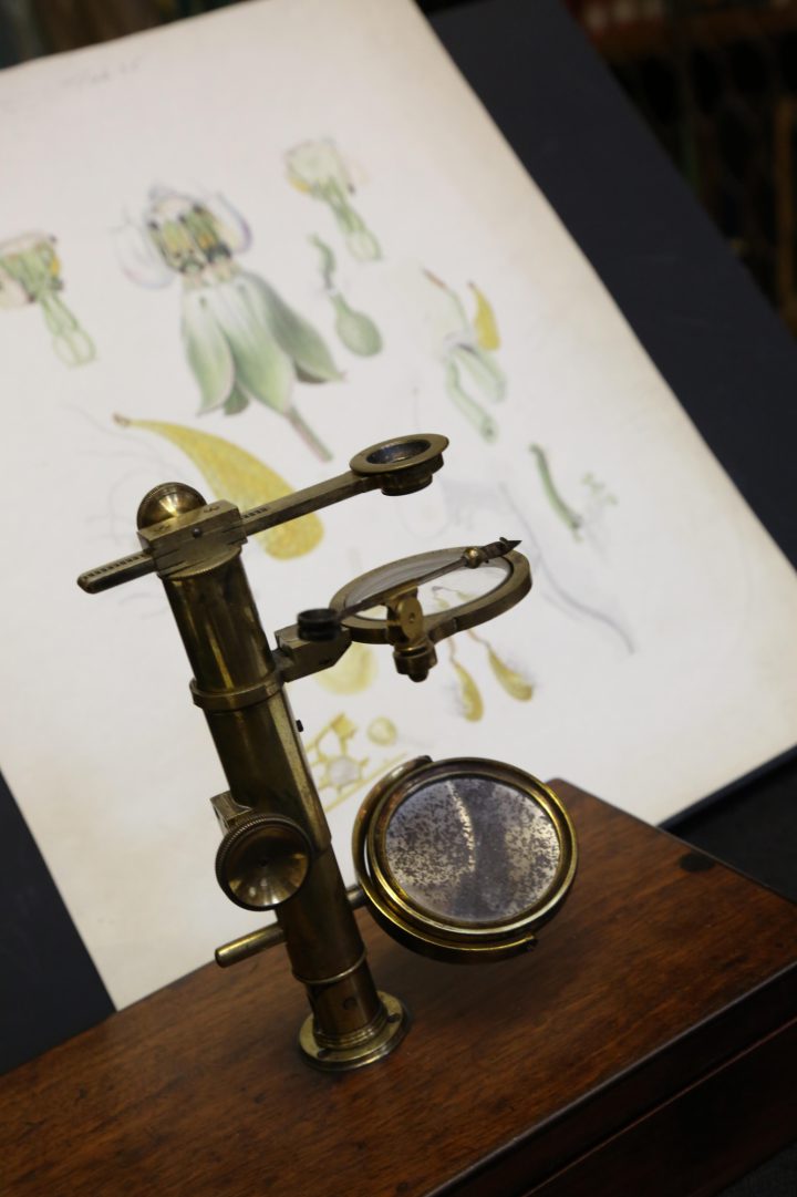 Brown microscope