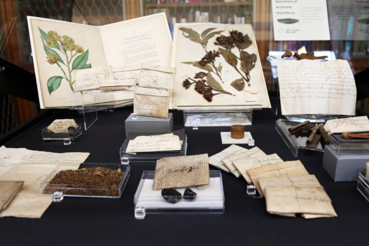 Specimens of economic importance case