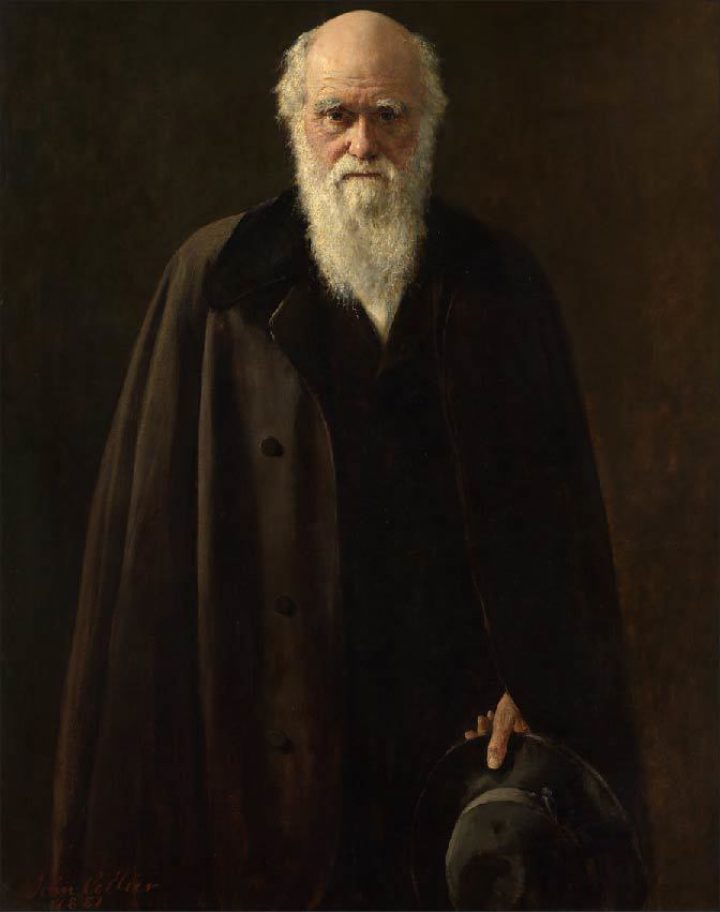 Darwin portrait