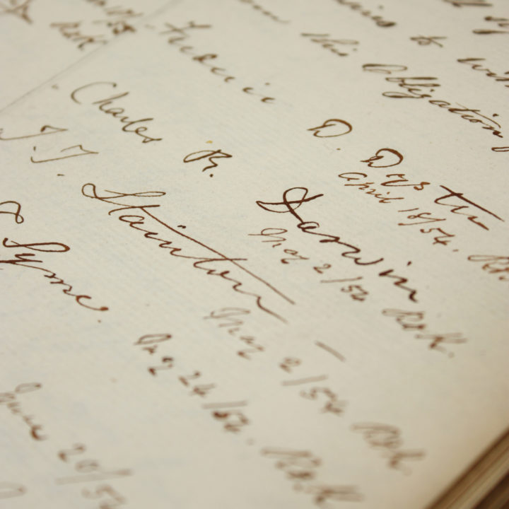 Darwin's signature on the Linnean Roll and Charter