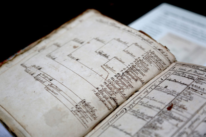 Dichotomus diagrams by Carl Linnaeus (1727-1730)