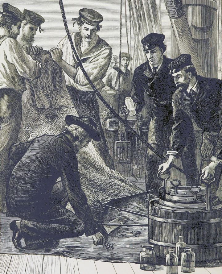 Examining a haul on the Challenger