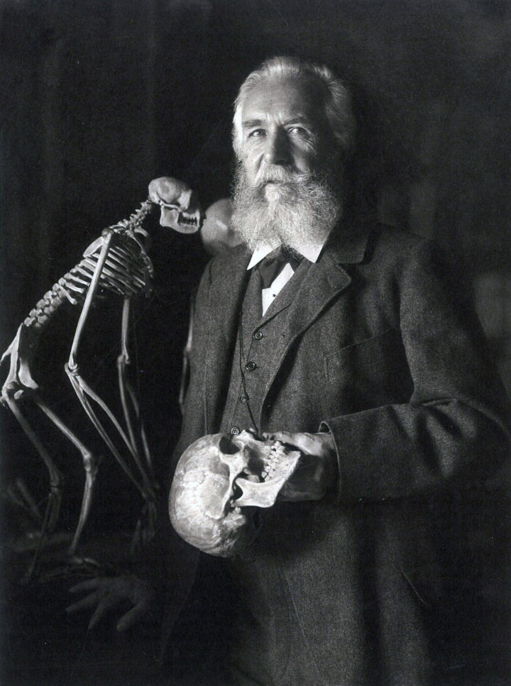 Ernst Haeckel