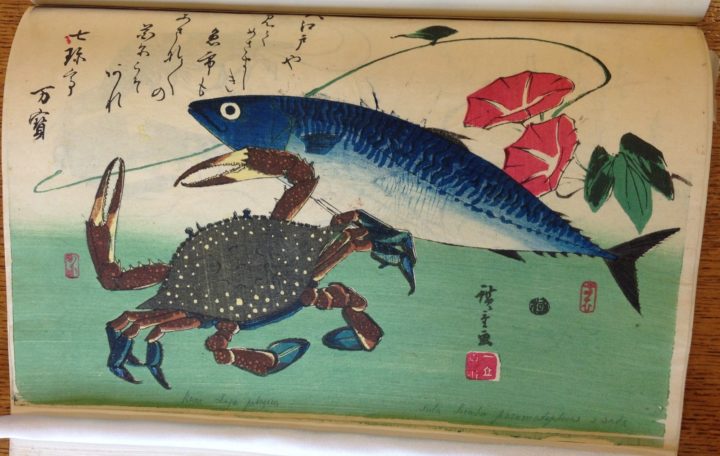 Hiroshige