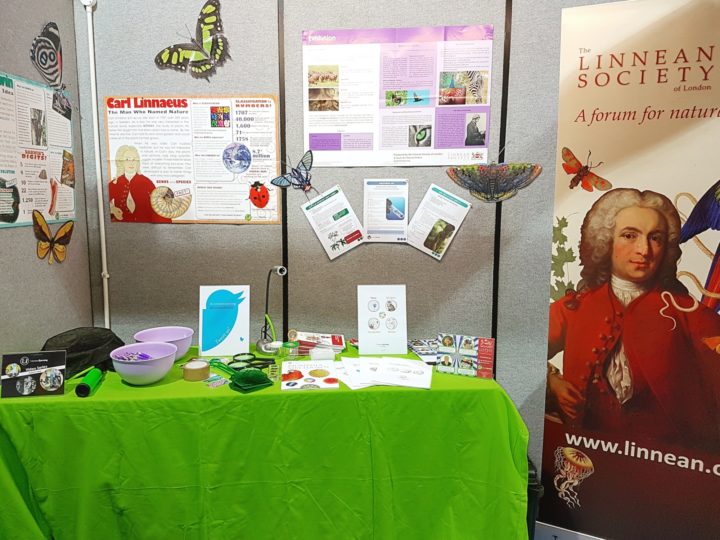 ASE stand
