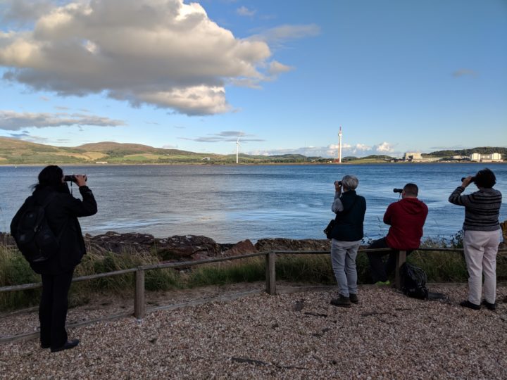 Dolphin spotting