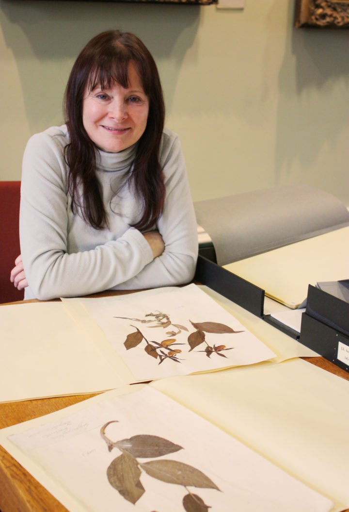 Janet Ashdown