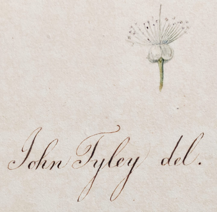 John Tyley Signature