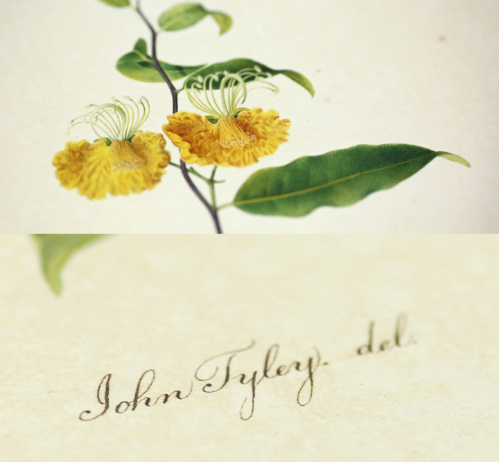 Painting by John Tyley