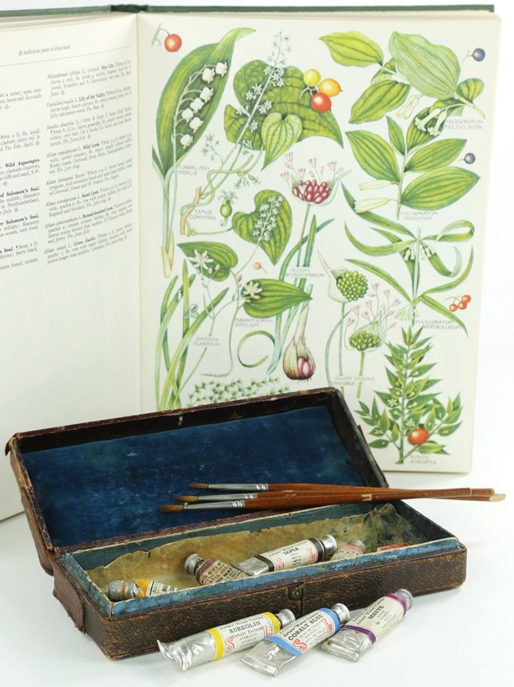 Keble Martin's paint box