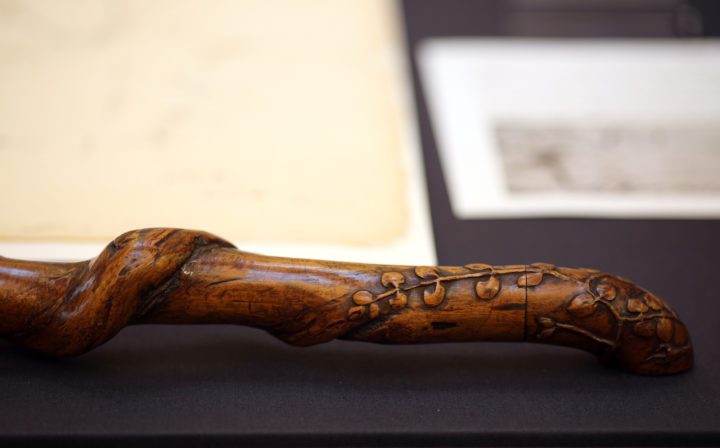 Handle of Linnaeus' walking stick.