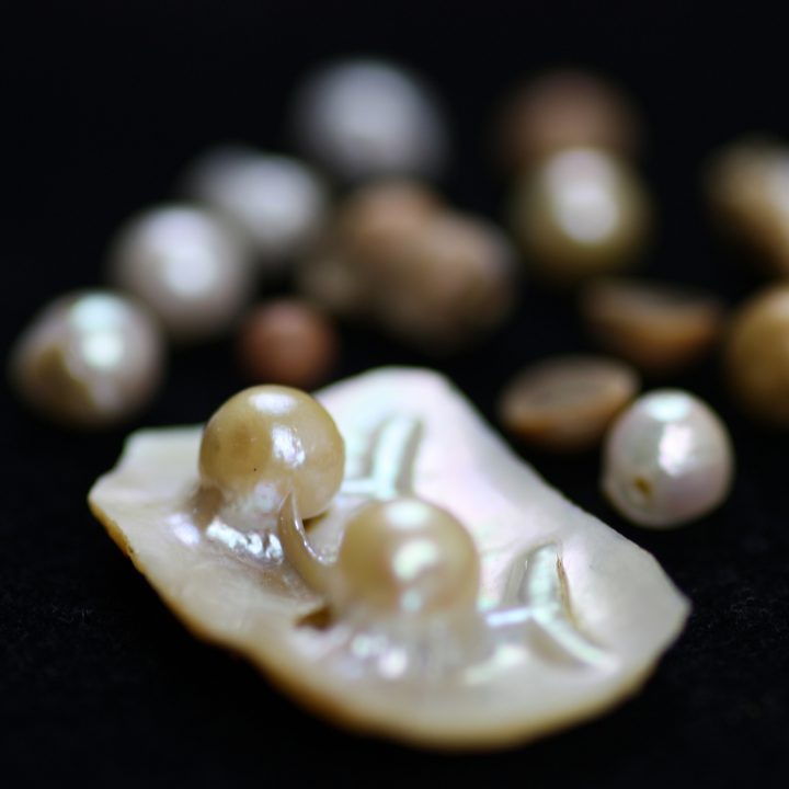 Linnaean pearls