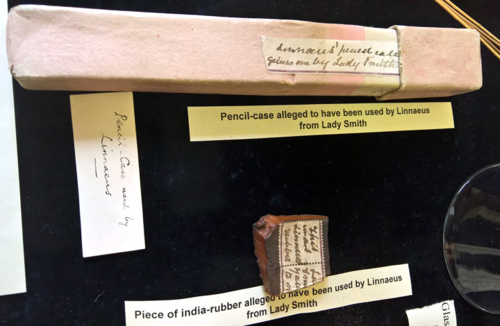 Linnaeus Pencil Case