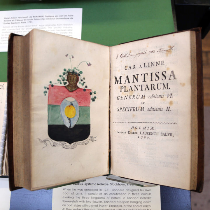 Linnaeus's Coat of Arms