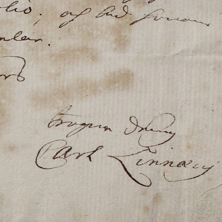 Linnaeus signature and seal
