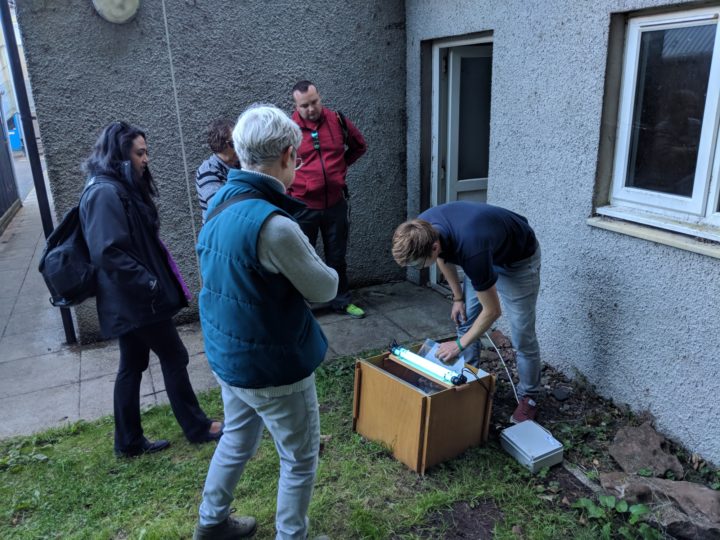 setting moth traps