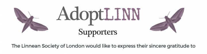 AdoptLINN Supporters