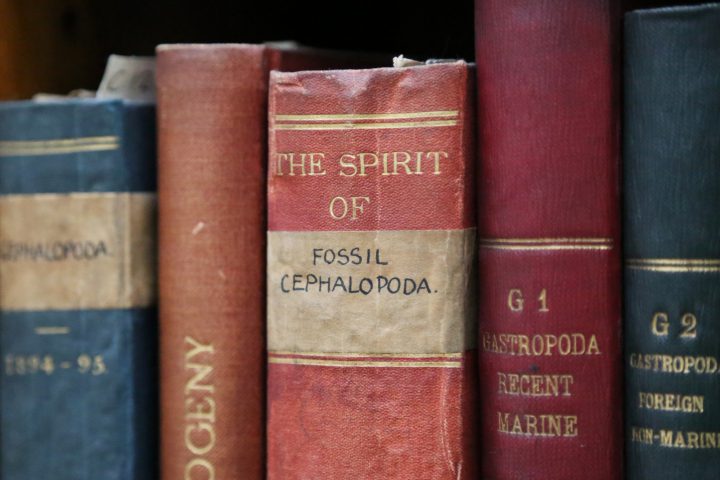 One of the imaginatively repurposed covers in the collections.