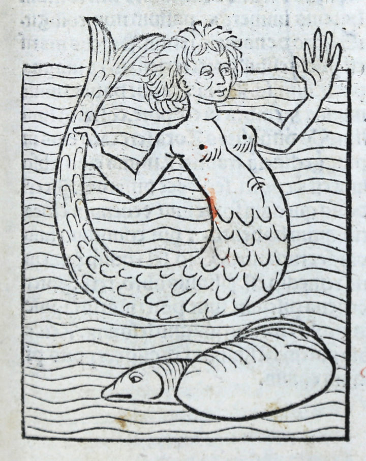 Mermaid