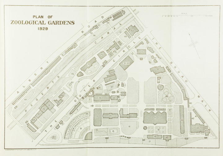 Plan of London Zoological Gardens
