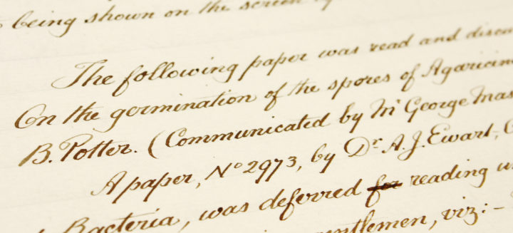 Potter paper minute book