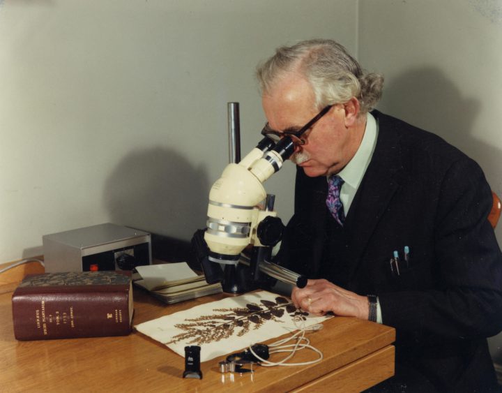 Prof William T. Stearn (1979–1982)