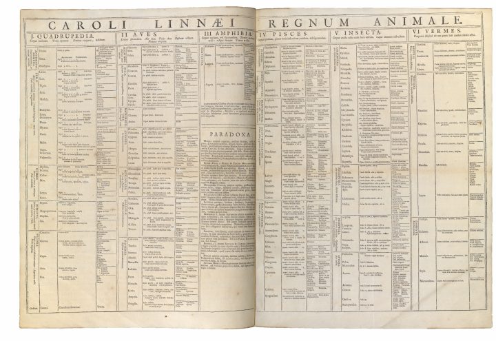 Systema Naturae 1735, Regnum Animale