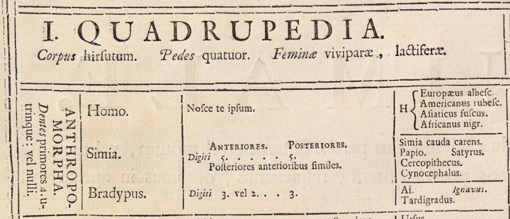 Regnun Animale Quadrupeds 1735