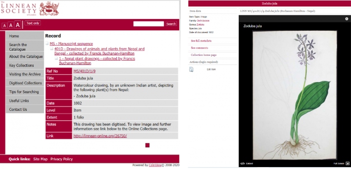 Catalogue entry for Zodubu jula (MS/401D/1/9) with link (in red) to digital image