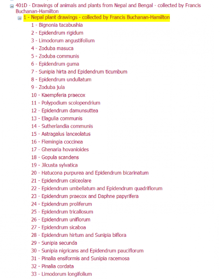 Hierarchy for Nepal plant drawings (MS/401D)