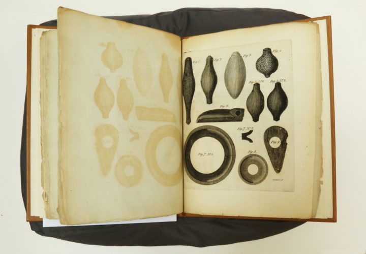 Sargent and Barton American Antiquities