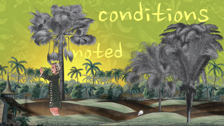 linnean learning video still