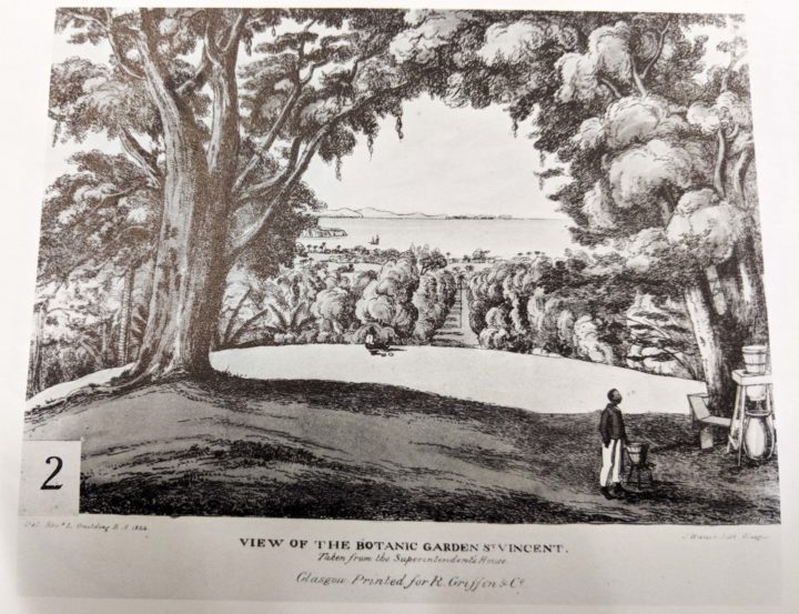 St Vincent Botanic Garden