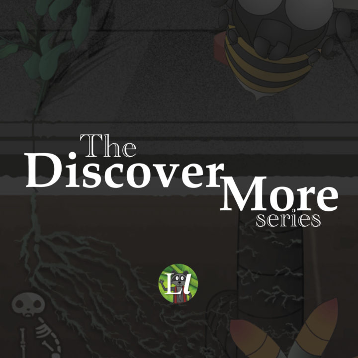The Discover More Series