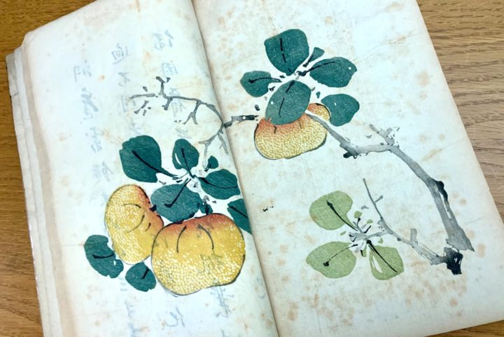 One of over 300 colour prints from the Treatise